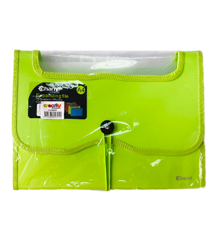 PORTAFOLIO  CREATIV CY9652 6 DIV.